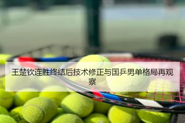 王楚钦连胜终结后技术修正与国乒男单格局再观察